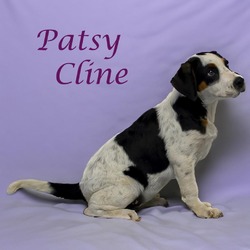 Thumbnail photo of Patsy Cline D24-142 #2