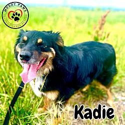 Thumbnail photo of Kadie #2