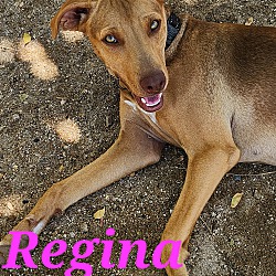 Photo of Regina