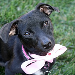 Photo of Gretchen - Fun and playful!