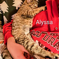 Thumbnail photo of Alyssa #4