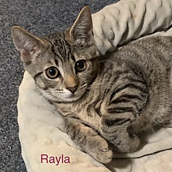 Photo of Rayla