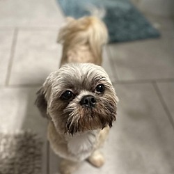 Photo of Bruno Mo