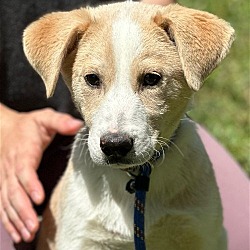 Photo of Tripp