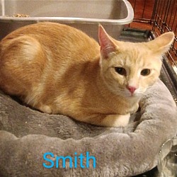 Photo of Smith
