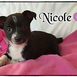 Thumbnail photo of Nicole #3