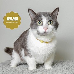 Thumbnail photo of Wilma #1