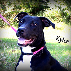 Thumbnail photo of Kylee ~ meet me! #1