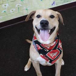 Antietam Humane Society Inc in Waynesboro, Pennsylvania