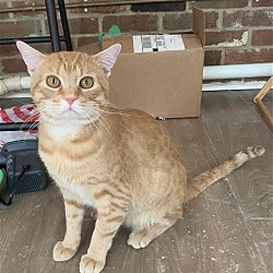Photo of MANGO