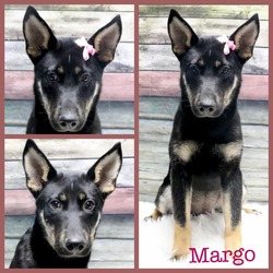 Photo of Margo