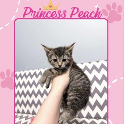 Thumbnail photo of Princess Peach #2