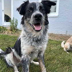 Photo of Oakley