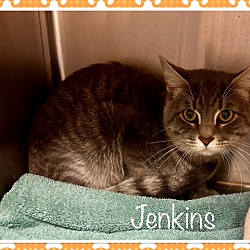 Thumbnail photo of JENKINS #2