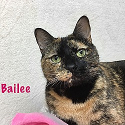 Thumbnail photo of Bailee #1