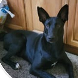 Photo of Winston
