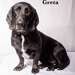 Thumbnail photo of Greta #1