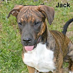 Thumbnail photo of Jack ~ meet me! #3