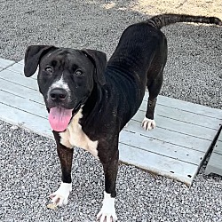 Photo of Roxy