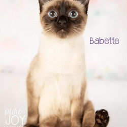 Thumbnail photo of Babette #3