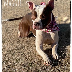 Thumbnail photo of Maggie #3