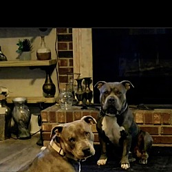 Photo of Kash and Penny