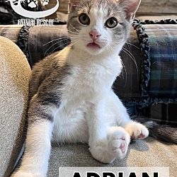 Thumbnail photo of Adrian #3