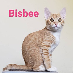 Photo of Bisbee