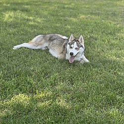Photo of Alaska
