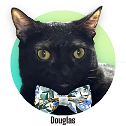 Photo of Douglas