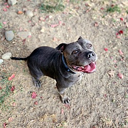 Photo of Ferdinand 