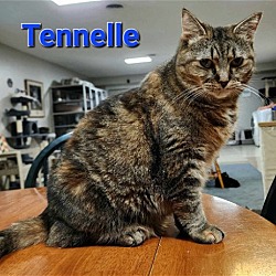 Thumbnail photo of Tennelle #1