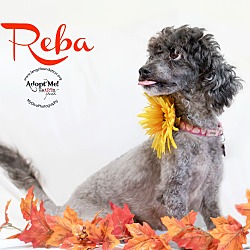Thumbnail photo of Reba #2