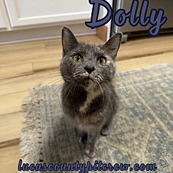 Photo of Dolly