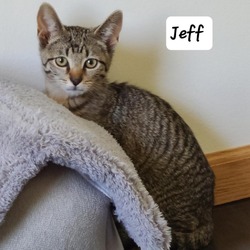 Thumbnail photo of Jeff #2