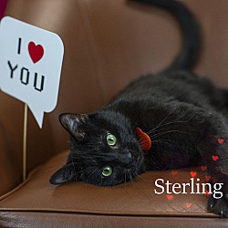 Photo of Sterling