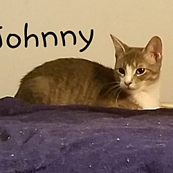 Thumbnail photo of Johnny #4
