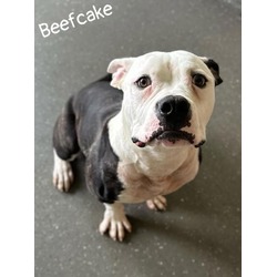 Photo of Beefcake