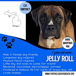 Photo of Jelly Roll