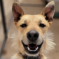 Photo of Ruffin