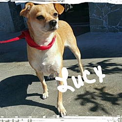 Thumbnail photo of Lucy lou #1