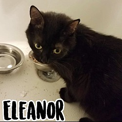 Photo of Elanor