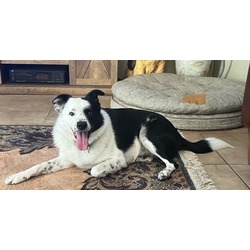 Photo of PARKER