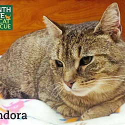 Thumbnail photo of Endora #2