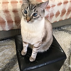 Photo of George
