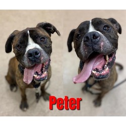 Photo of PETER