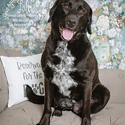 Photo of Lola