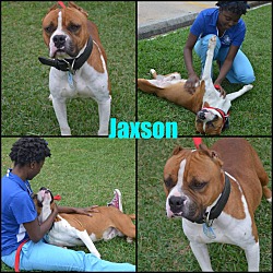 Thumbnail photo of Jaxson #2