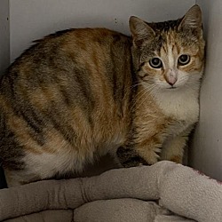 Thumbnail photo of Darlene #2