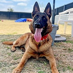 Photo of REMI
